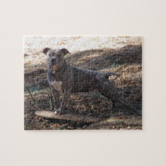 Puzzle Pitbull avec le casse-tête (Horizontal)