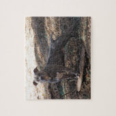 Puzzle Pitbull avec le casse-tête (Vertical)