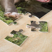 Puzzle Pitbull dans l'herbe (Côté)