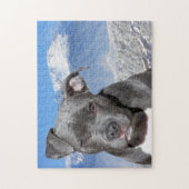 Puzzle Pitbull Terrier. (Vertical)