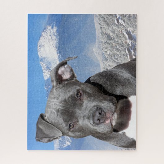 Puzzle Pitbull Terrier. (Vertical)