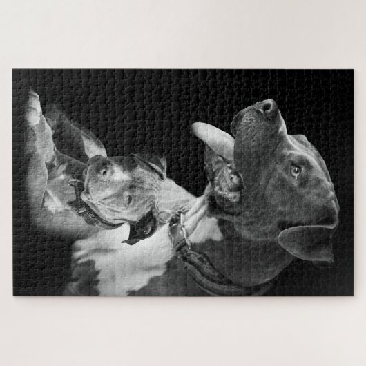 Puzzle Pitbulls (Horizontal)
