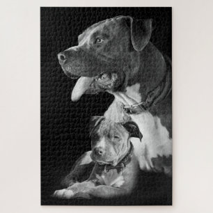 Puzzle Pitbulls