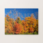 Puzzle Pittoresque automne arbres et ciel bleu nature pho (Horizontal)