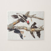 Puzzle pivert Ivoire-affiché, 1829, (copie) (Horizontal)