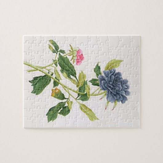 Puzzle Pivoine (Horizontal)
