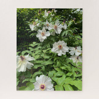 Puzzle Pivoine arbre blanche, Séoul