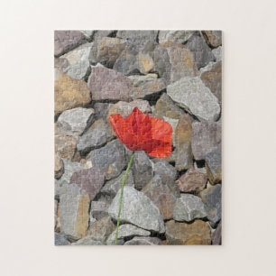 Puzzle Pivoine rouge unique sur de petites pierres grises