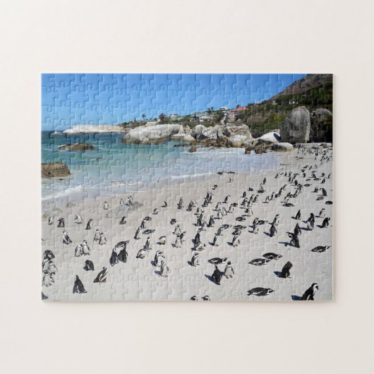 Puzzle Plage | Afrique du Sud de rochers de pingouins (Horizontal)