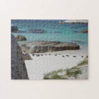 Plage de Boulder Capetown
