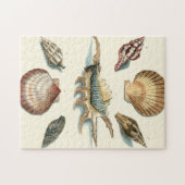 Puzzle Plage de Shell soignée (Horizontal)