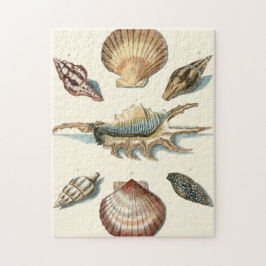 Puzzle Plage de Shell soignée (Vertical)