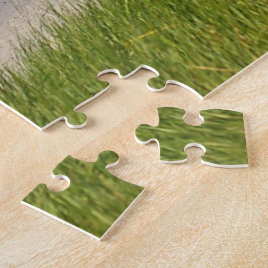 Puzzle Plage d'océan de baie de Cape Cod (Côté)