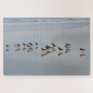 Puzzle Plage Oiseaux Nature Côtière Photographie Dur