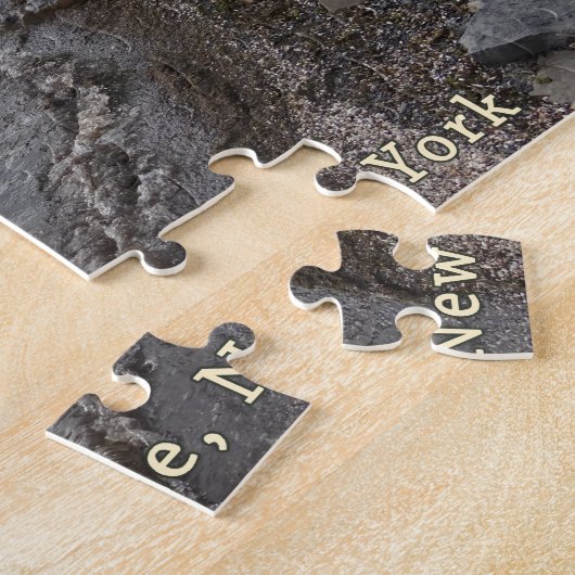 Puzzle Plage rocheuse du lac Cayuga (Côté)