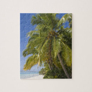 Puzzle Plage sur l'île One Foot, Aitutaki, Îles Cook