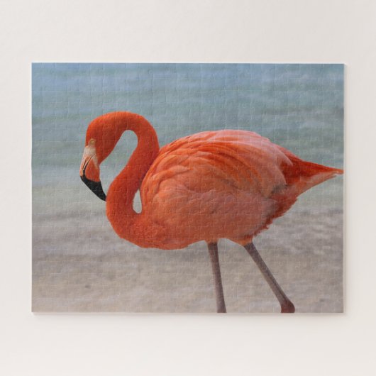 Puzzle Plages tropicales | Flamant rose des Caraïbes, Aru (Horizontal)