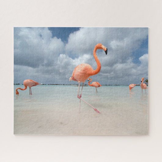 Puzzle Plages tropicales | Flamants roses Beach, Aruba (Horizontal)