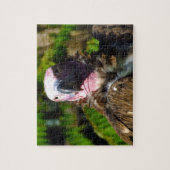 Puzzle Plan rapproché avant de vautour de Turquie de (Vertical)