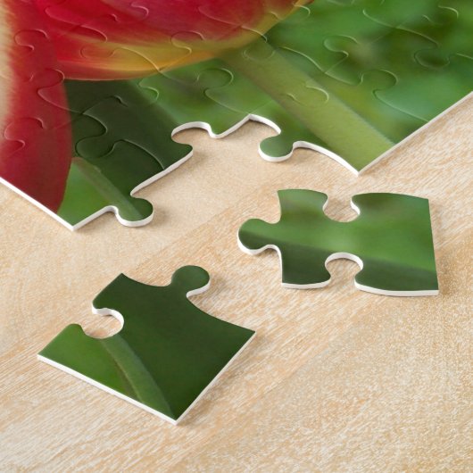 Puzzle Plan rapproché de tulipes (Côté)