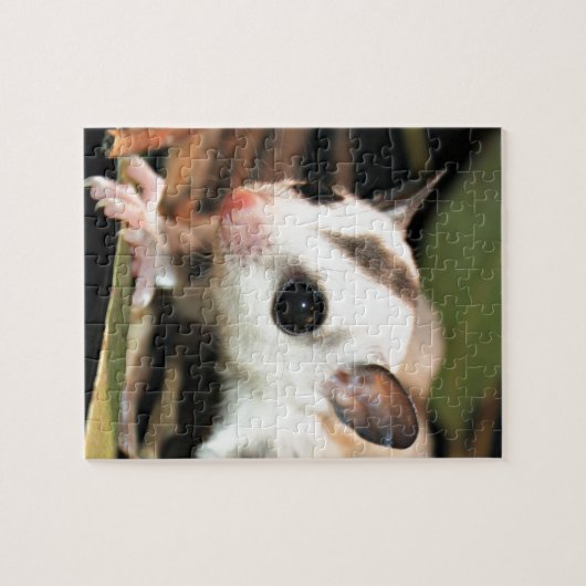 Puzzle Planeur de sucre (Horizontal)