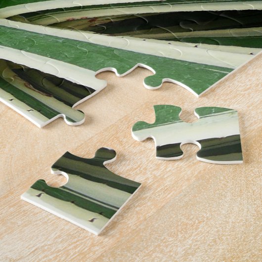 Puzzle Plante Agave Vert et blanc rayé (Côté)