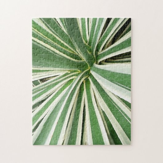 Puzzle Plante Agave Vert et blanc rayé (Vertical)