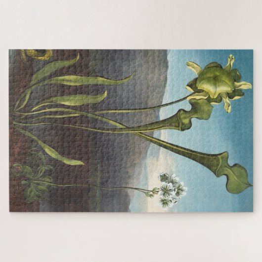 Puzzle Plante carnivore (Horizontal)