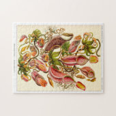 Puzzle Plante de pitcher carnivore de Nepentheceae (Horizontal)