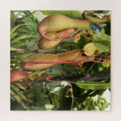 Puzzle Plante de Pitcher, Pots de Singe avec Bluebouteill (Horizontal)