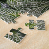 Puzzle Plante en mosaïque Fittonia avec Feuilles variés (Côté)