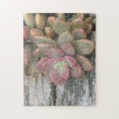 Puzzle Plante Succulent Sur Le Bois Chaud (Vertical)