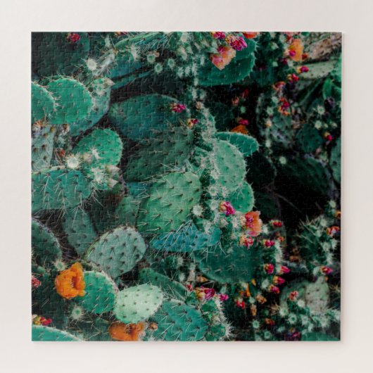 Puzzle Plantes de cactus (Horizontal)