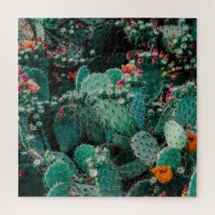 Puzzle Plantes de Cactus en fleurs