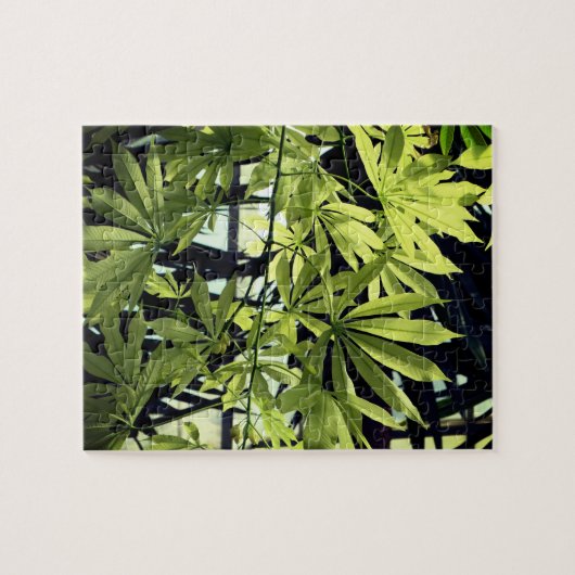 Puzzle Plantes verts, Foliage (Horizontal)