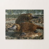 Puzzle Platypuses (Horizontal)