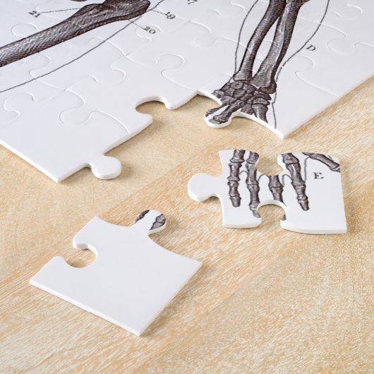 Puzzle Plein squelette (Côté)