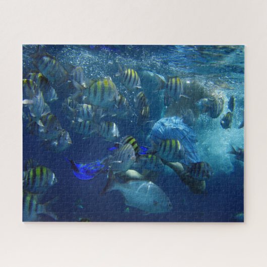 Puzzle Plongée sous-marine Océan Mer Poisson (Horizontal)