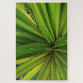 Puzzle Pluie matinale sur le pin à vis (Vertical)