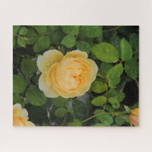 Puzzle Pluies sur Rose jaune
