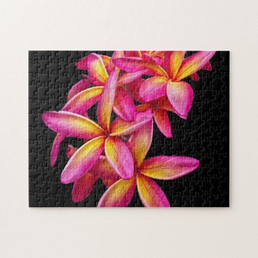 Puzzle Plumeria rose assez photo florale (Horizontal)