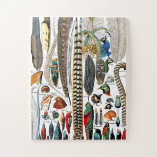 Puzzle Plumes d'Adolphe Millot