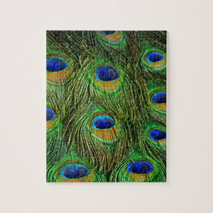 Puzzle Plumes de paon magnifiques