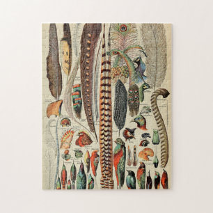 Puzzle Plumes d'oiseaux sauvages Antique