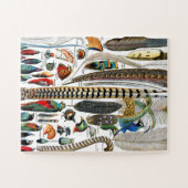 Puzzle Plumes par Adolphe Millot (Horizontal)