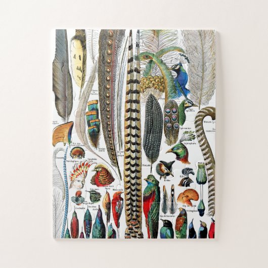 Puzzle Plumes par Adolphe Millot (Vertical)