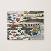 Puzzle Plumes par Adolphe Millot (Horizontal)