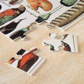 Puzzle Plumes vintages Oiseaux Vieux art illustratif (Côté)