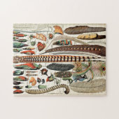 Puzzle Plumes vintages Oiseaux Vieux art illustratif (Horizontal)