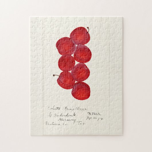 Puzzle Plums (Prunus Domestica) Peinture à l'aquarelle au (Vertical)